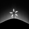 Emilian Chirila - photography