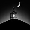 Emilian Chirila - photography