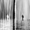 Emilian Chirila - photography