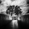 Emilian Chirila - photography