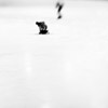Emilian Chirila - photography