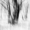 Emilian Chirila - photography