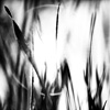 Emilian Chirila - photography
