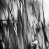Emilian Chirila - photography