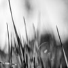 Emilian Chirila - photography