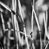 Emilian Chirila - photography