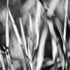 Emilian Chirila - photography