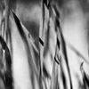 Emilian Chirila - photography