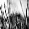 Emilian Chirila - photography